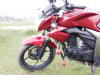 Suzuki gixxer monotone SD